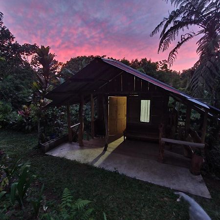 Cabana Maquique - San Vito Villa San Ramon  Exterior photo
